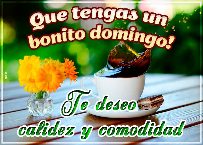 Feliz Domingo