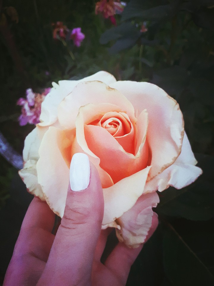 summer beauty