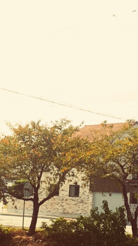 summer_Falling