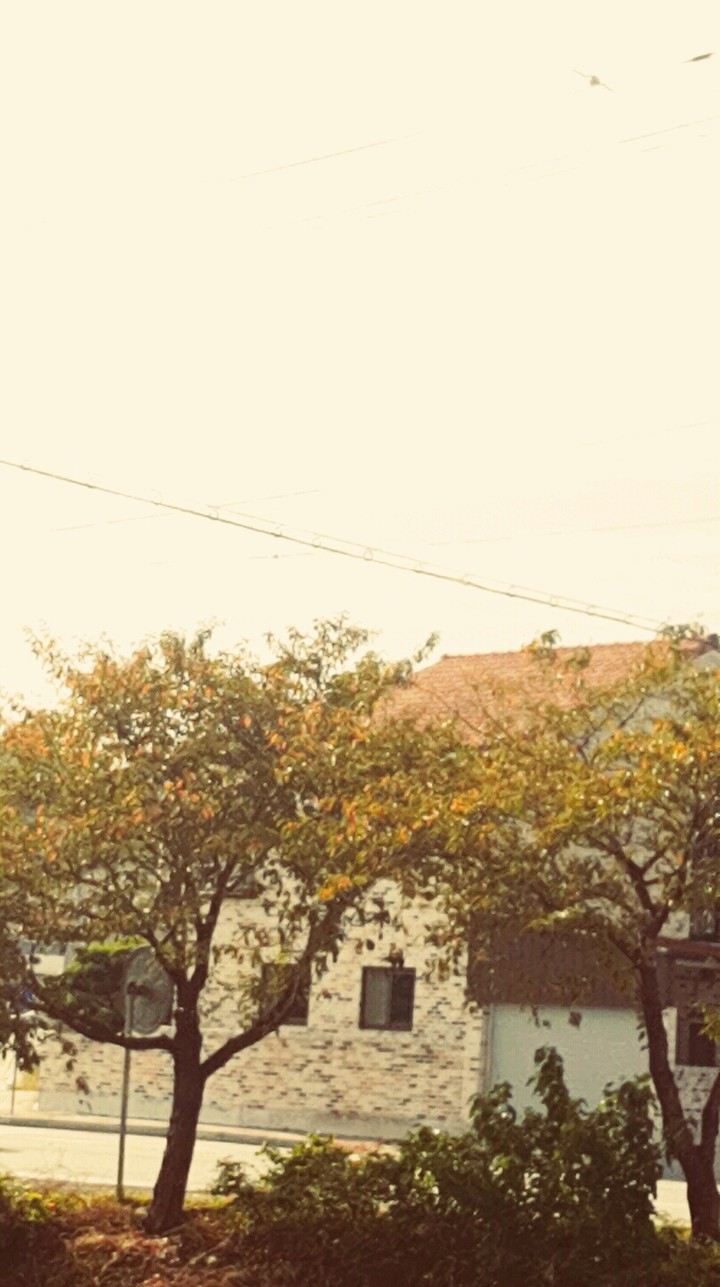 summer_Falling