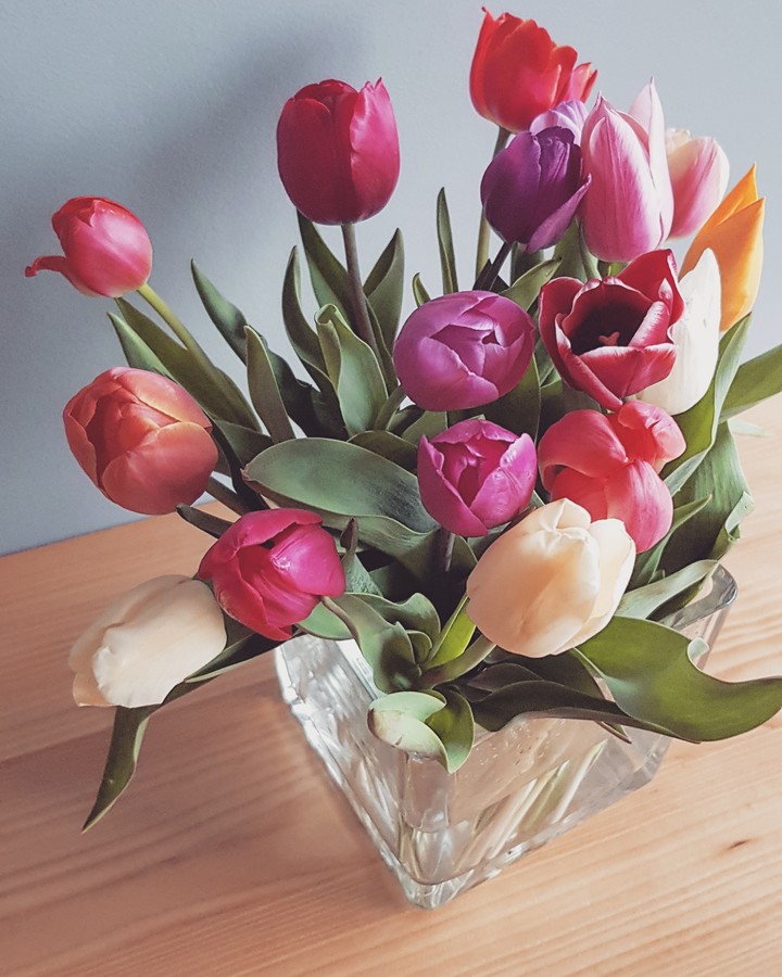 flowers