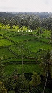 at Bali