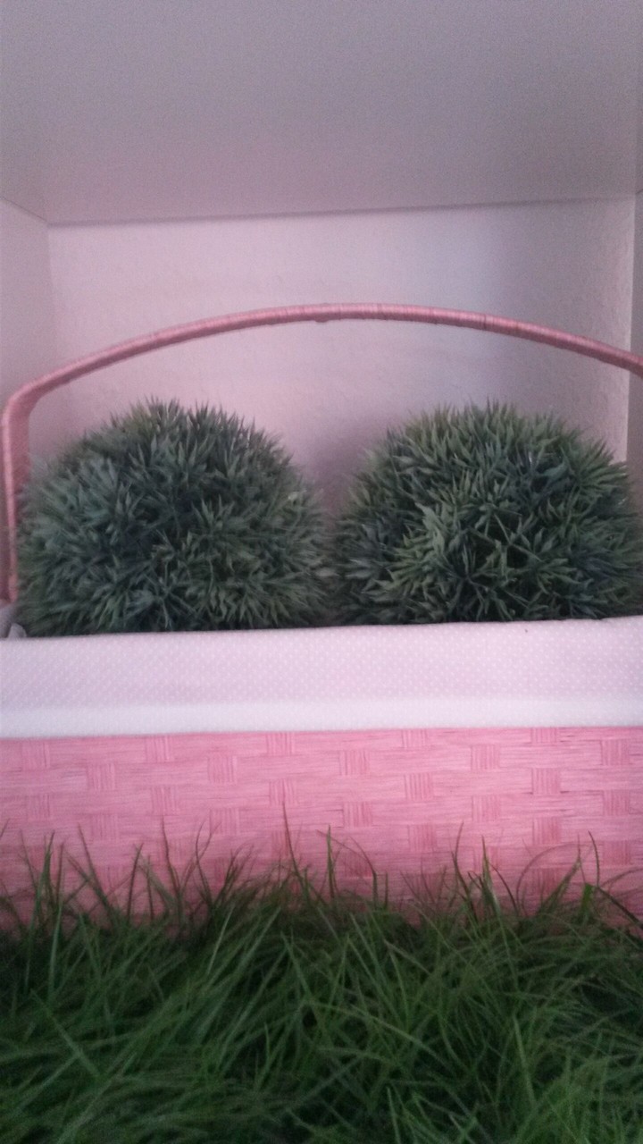 gren