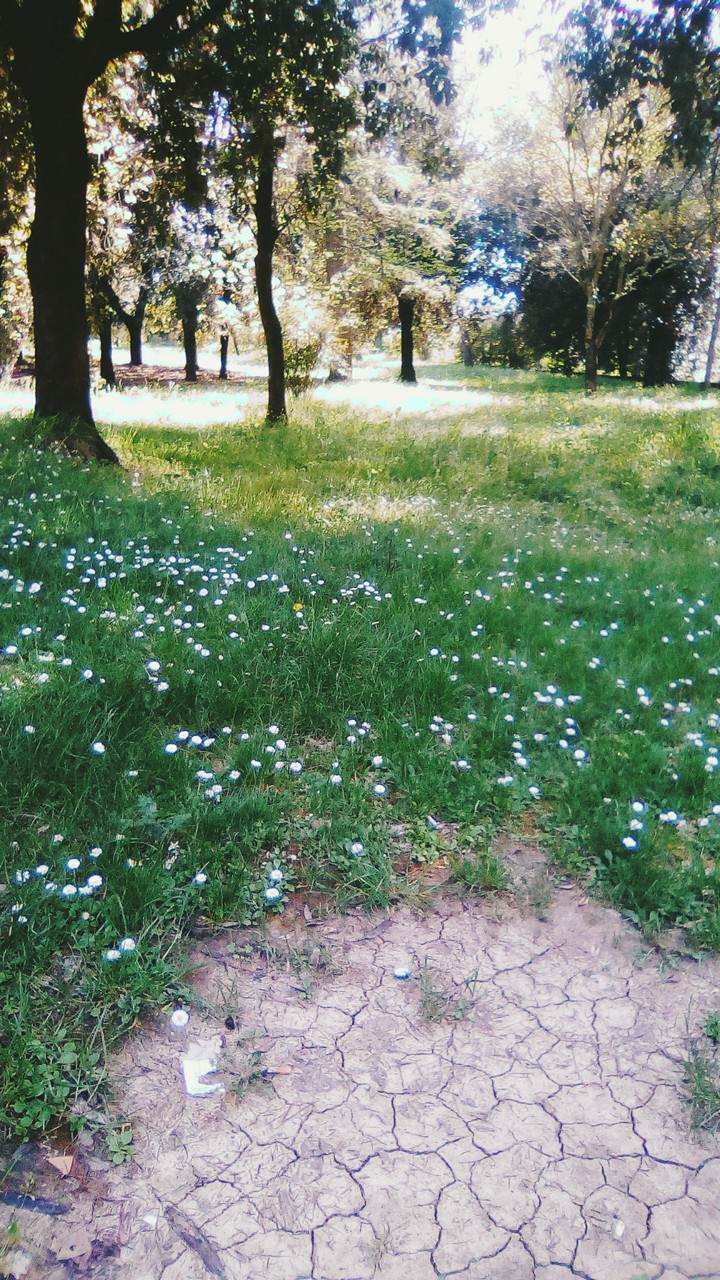 il mondo perduto