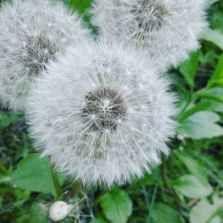 beautiful