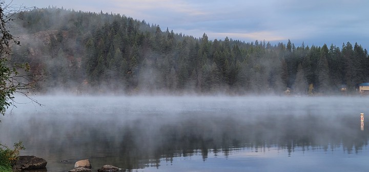 Foggy Lake