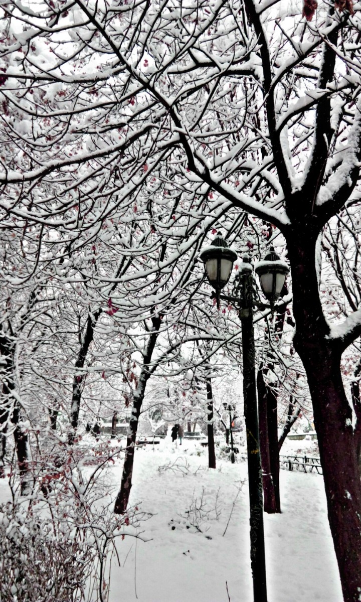 warm winter