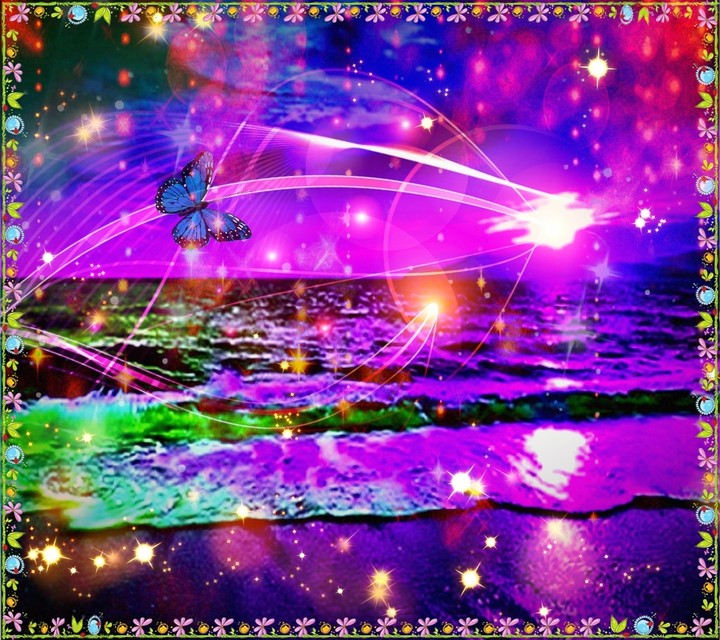 ✨The magical world of fairies ✨