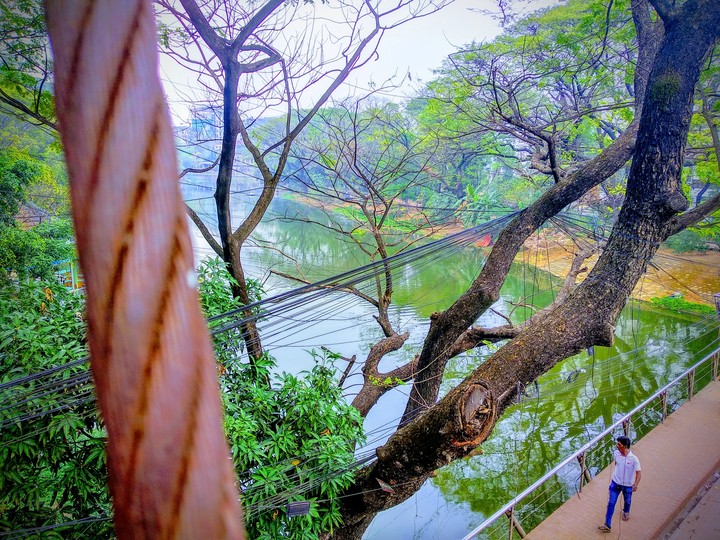 Dhanmondi lake