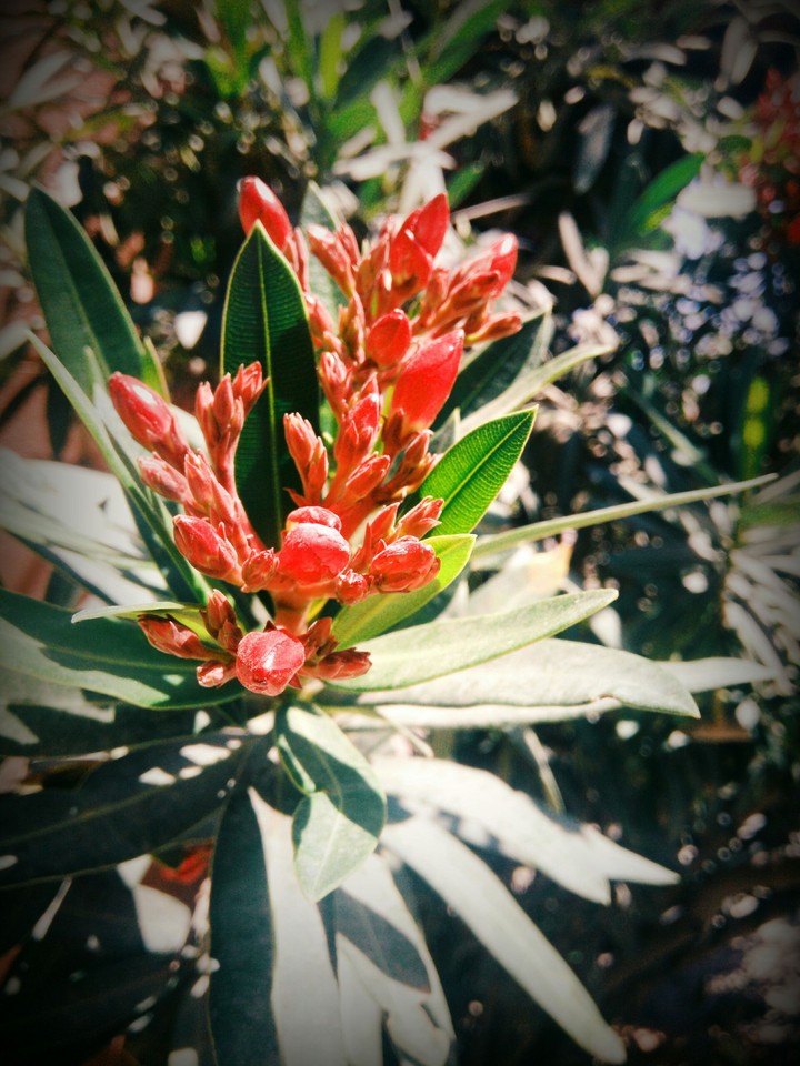 The beauty of nature at the best.