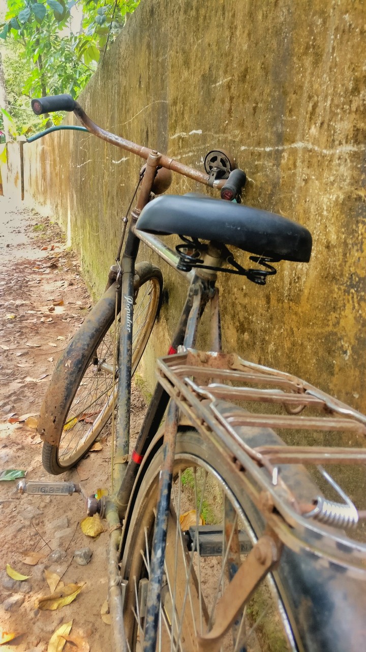 cycle