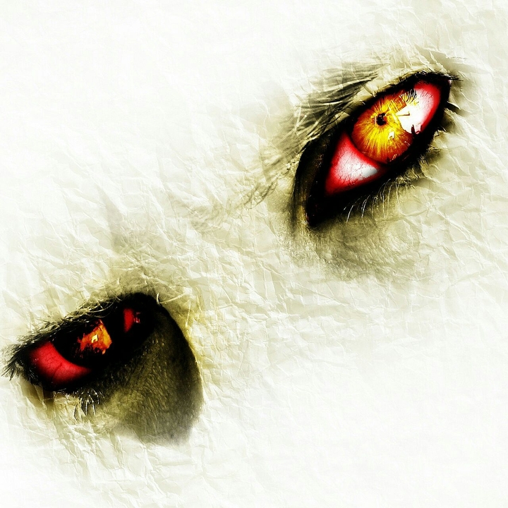 Eyes