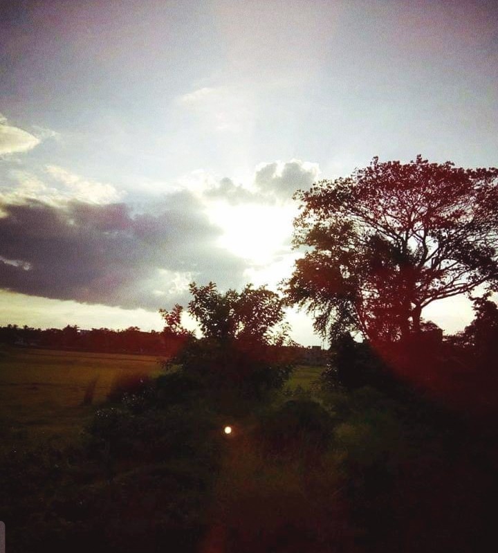 golden light ❤️