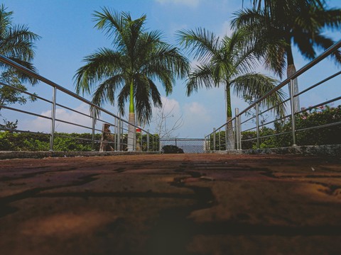 trip_00_graphy