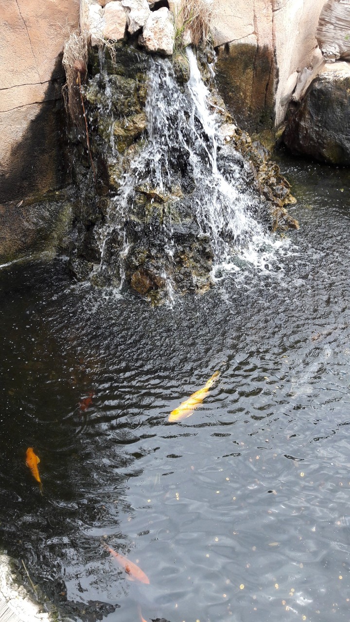 Zoo, Benidorm, Spain