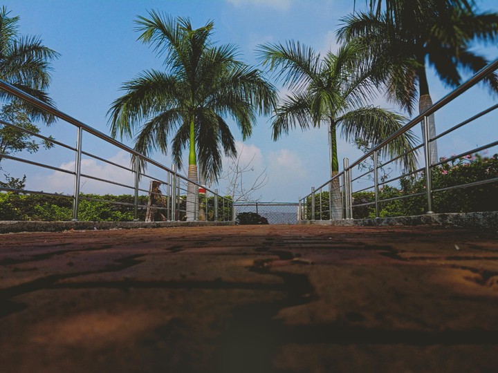 trip_00_graphy