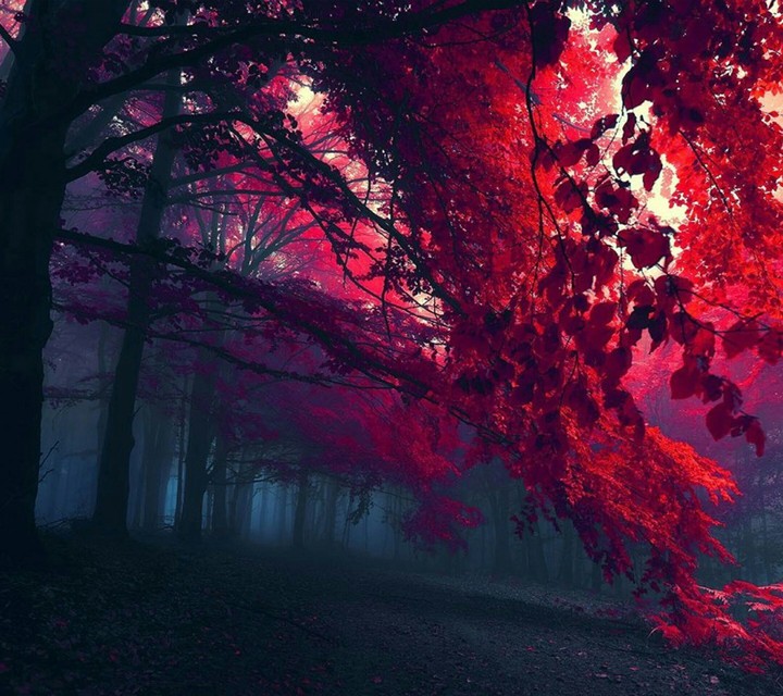 .....beautiful scary area .....