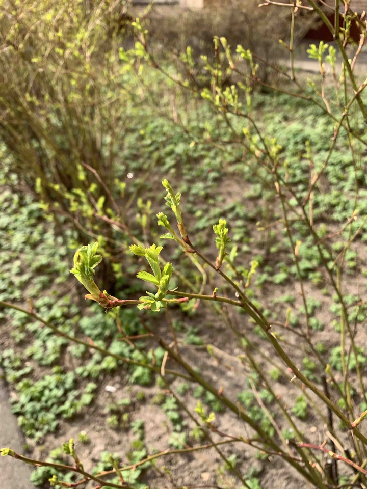 ?