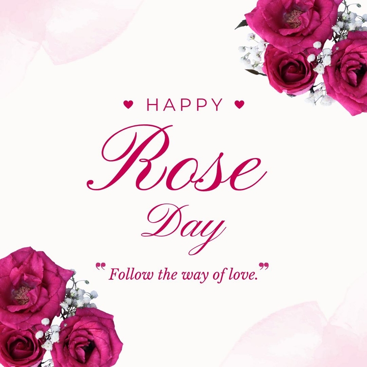 roseday ? spl