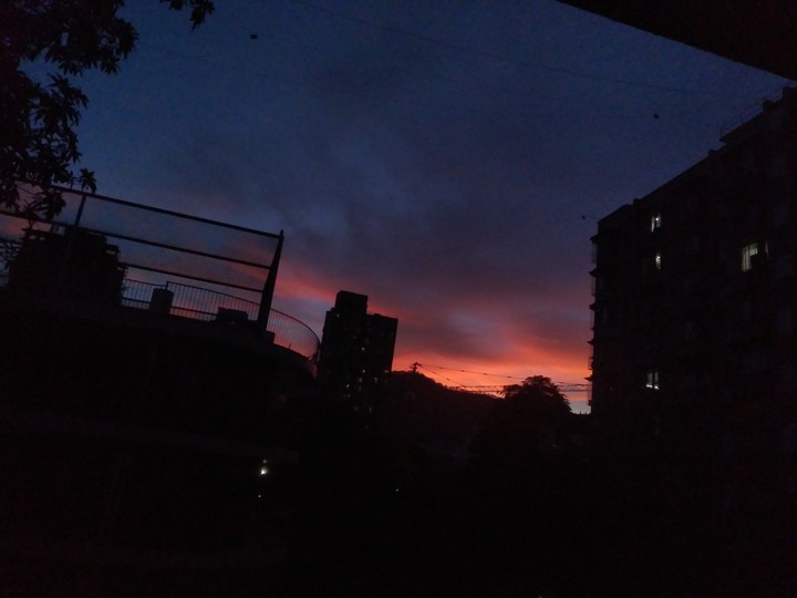 skyy