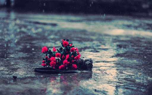 it's raining...