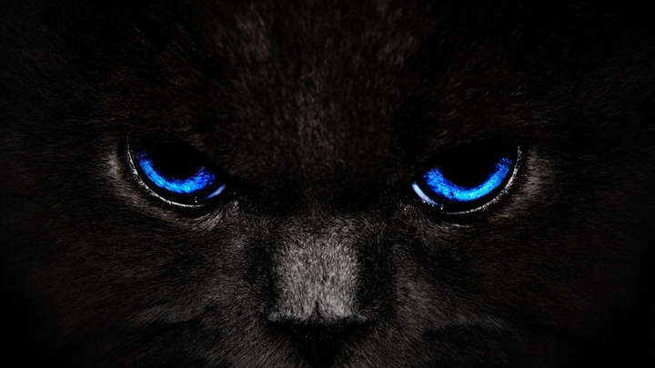blue eyes