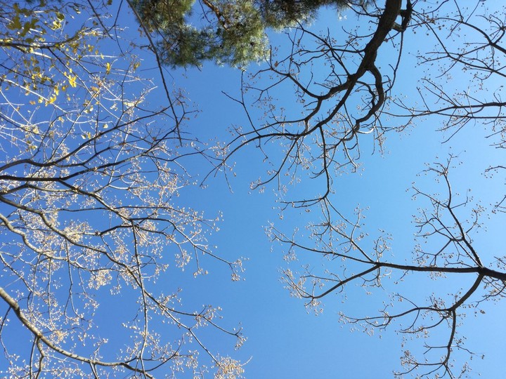 آسمان آبي