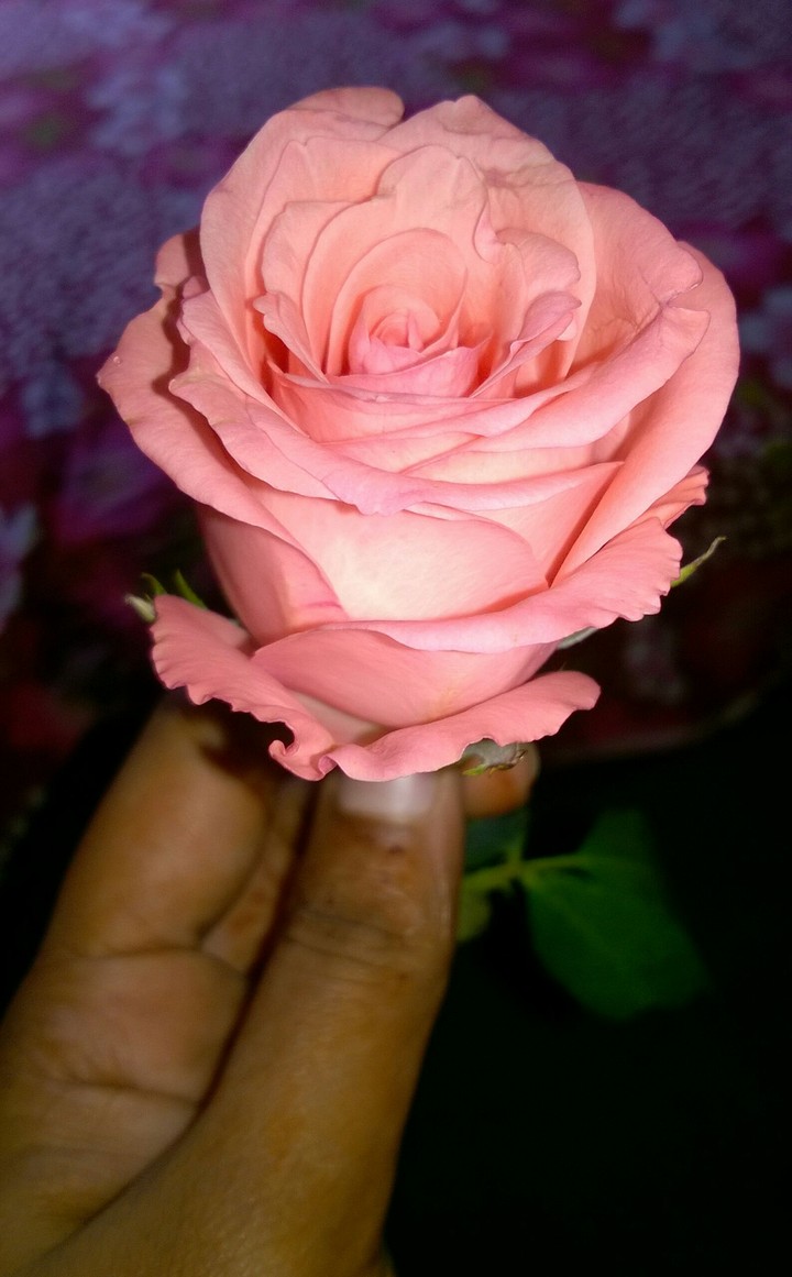 love u