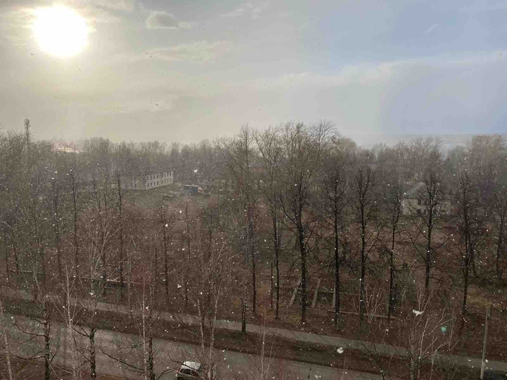 весна