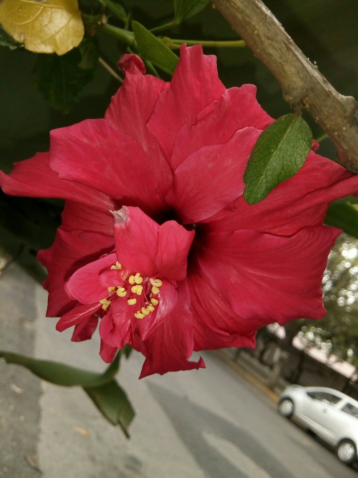 belleza natural