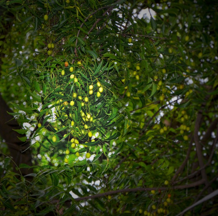 trip_00_graphy