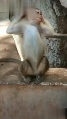 ogqfriends