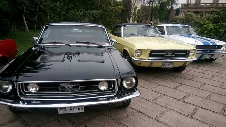 Mustang
