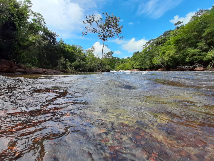 Amazônia-Brasil