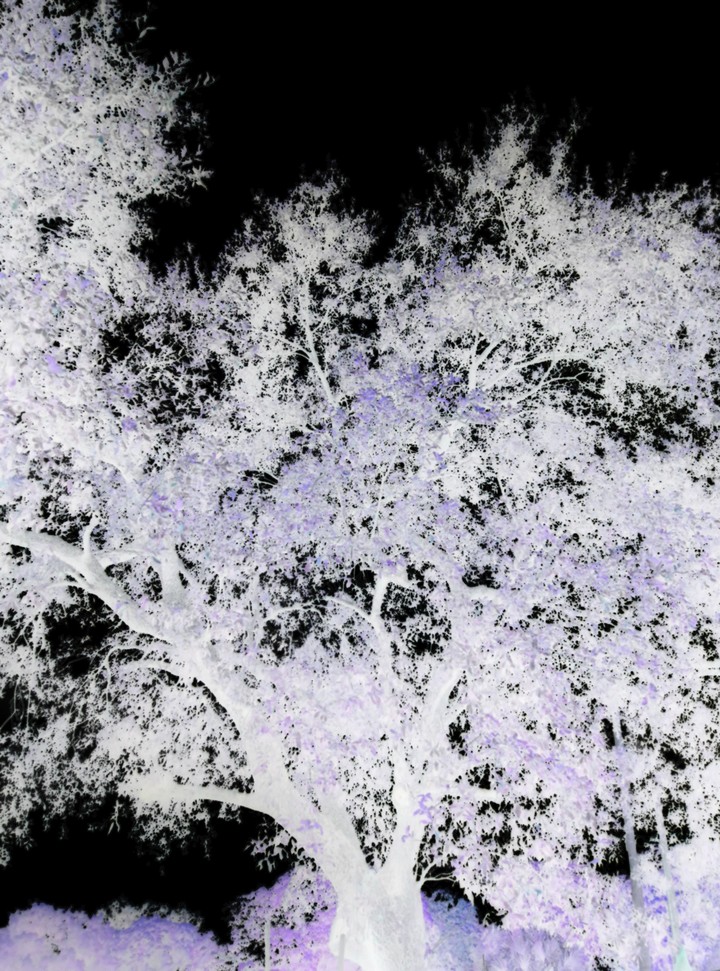 vague night