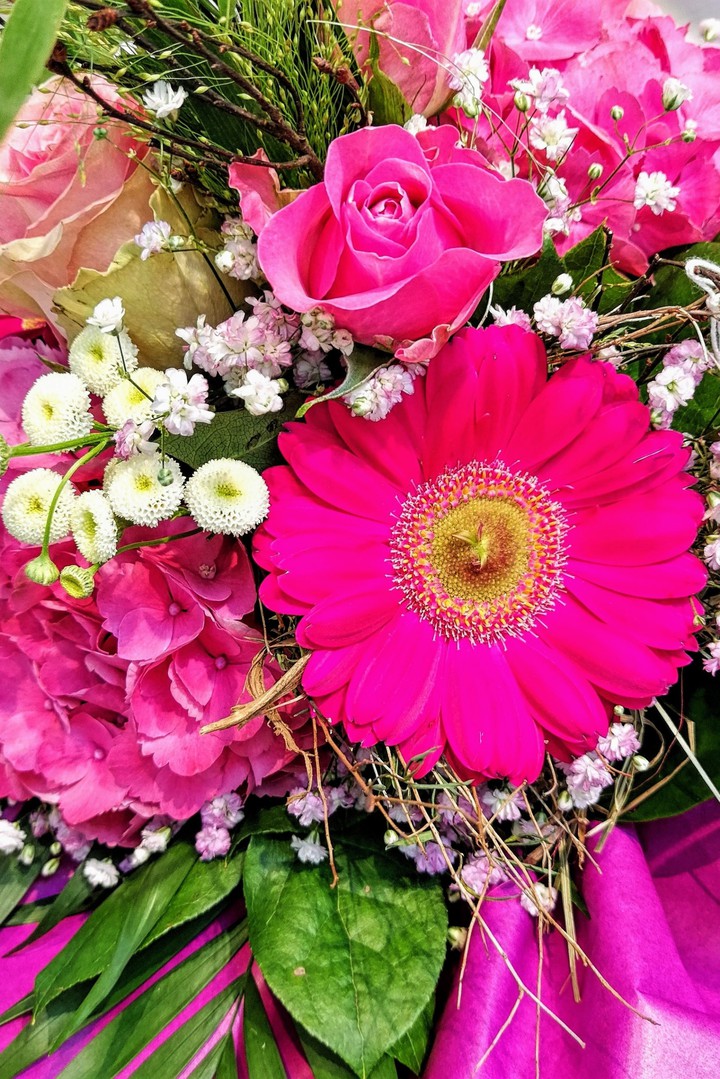 wunderschöne Blumen in lila