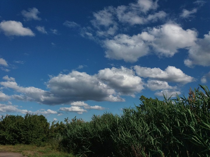 rustic view