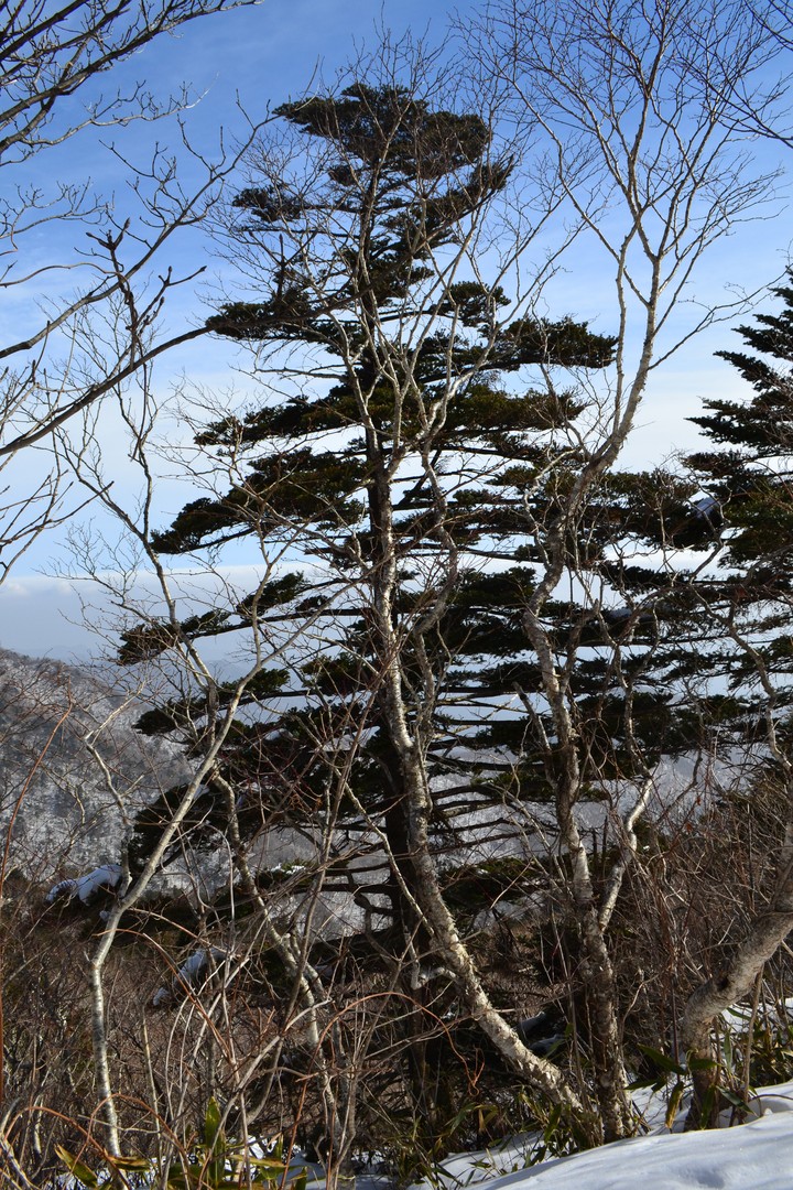지리산이미지
