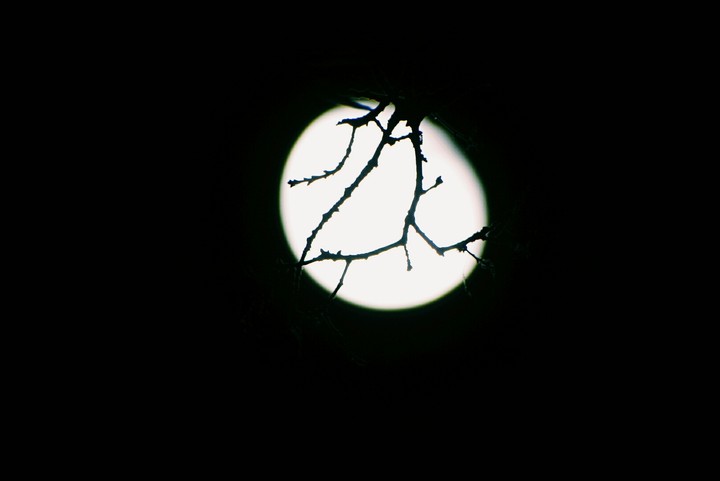 moon