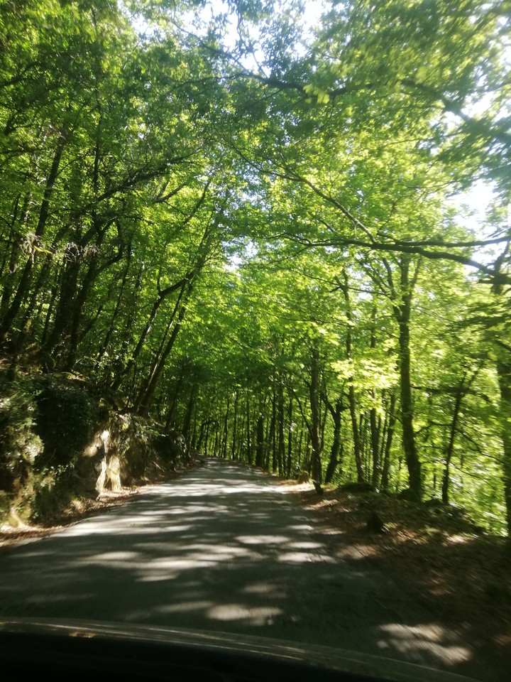 nature