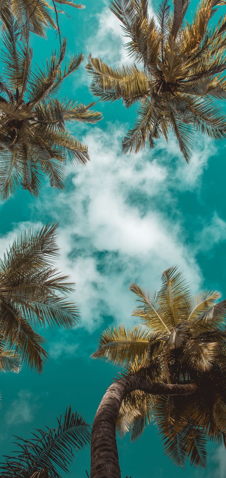 sky has no limit