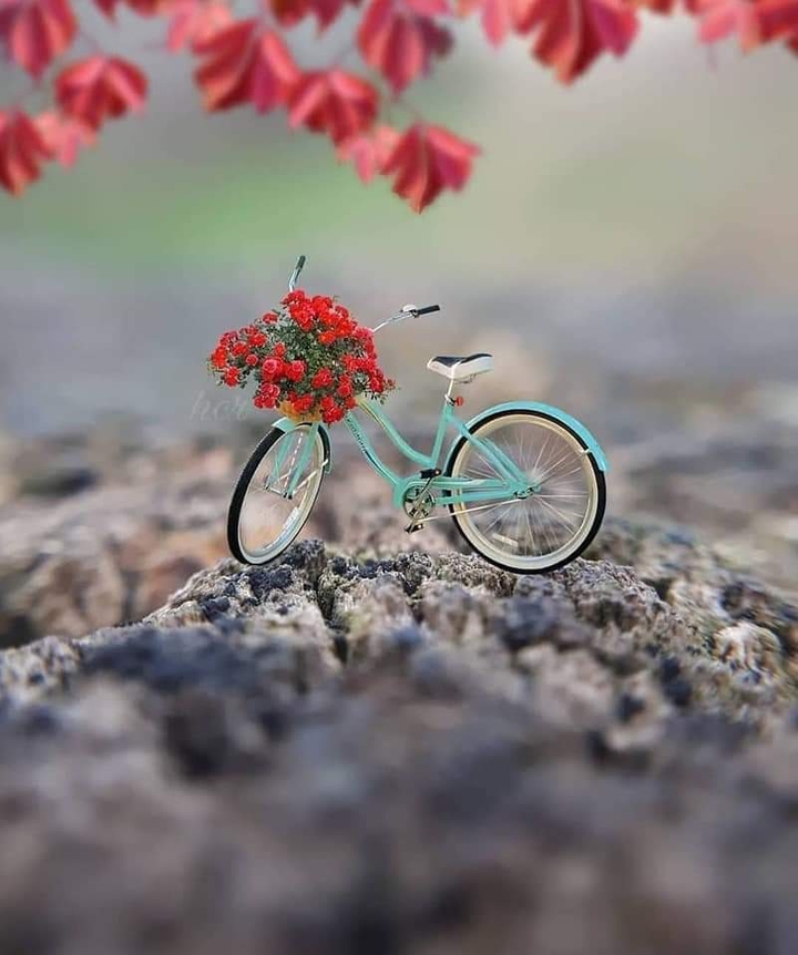 tiny