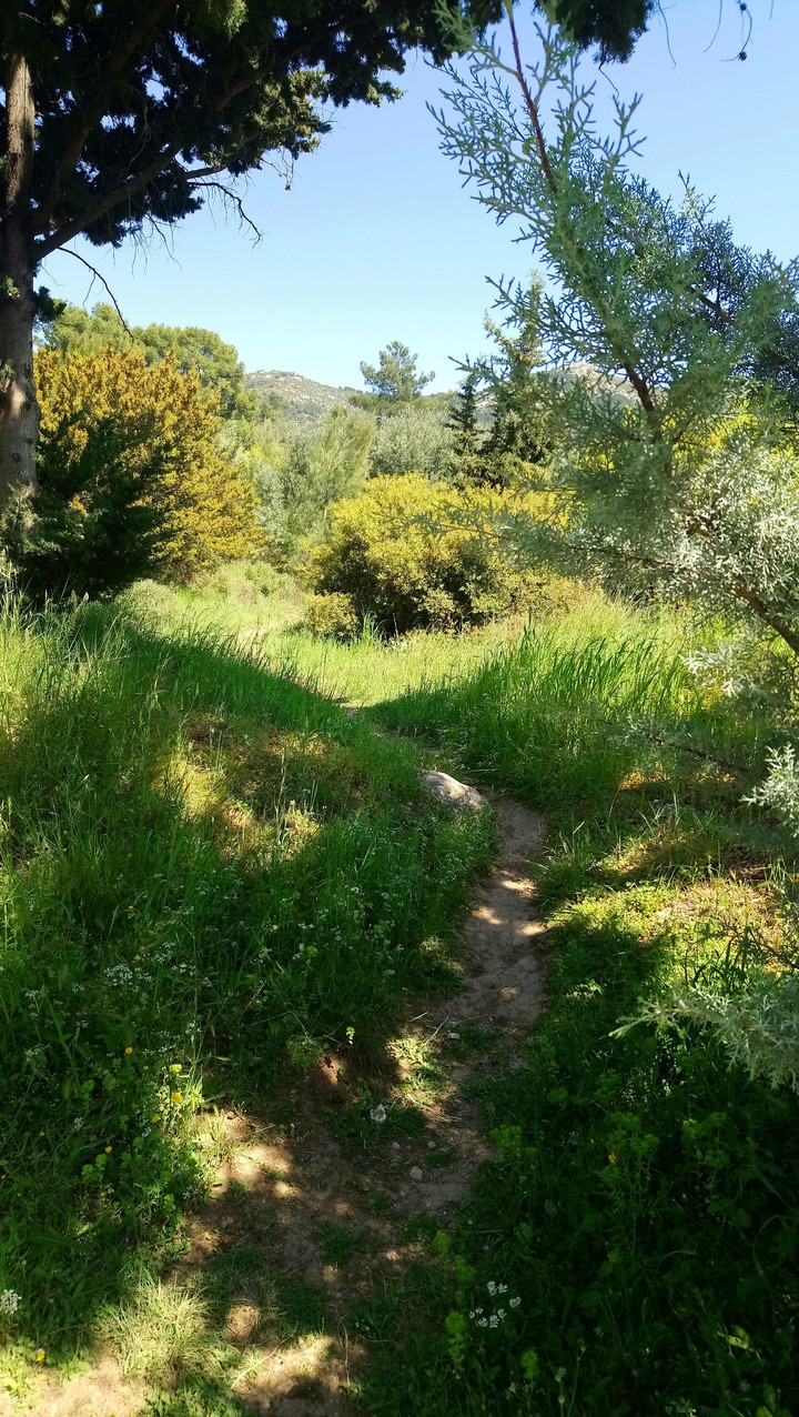 Landscape