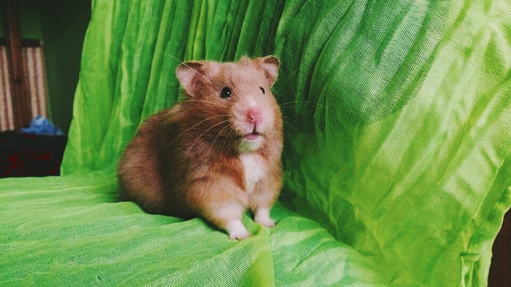 Smiles For The Camera!