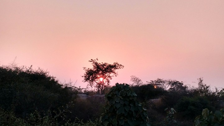 Sunset
