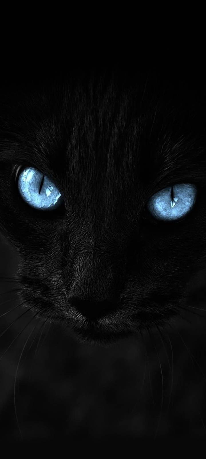 eyes?