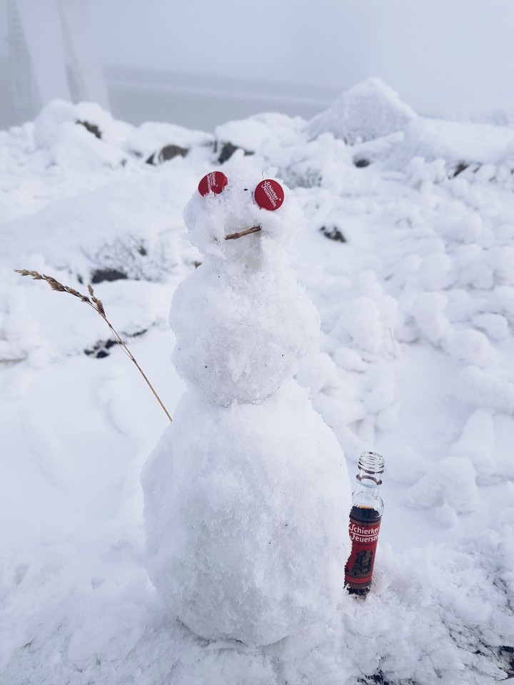 Auf dem Brocken