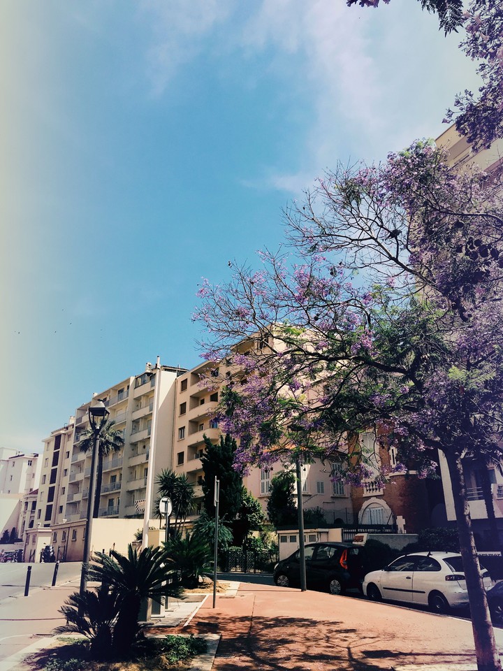 City Of Summer