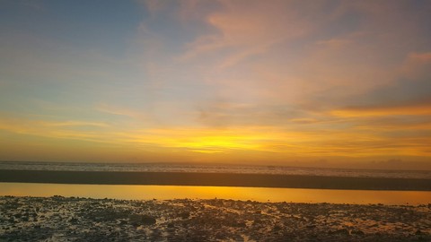 5 am view