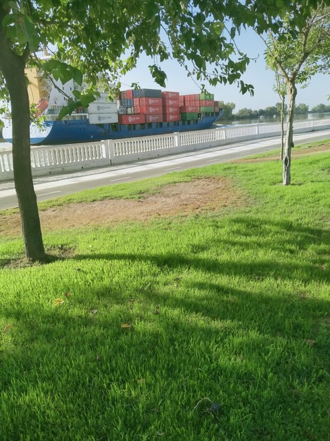fondos de pantalla plain, park
